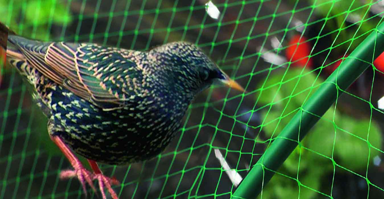 Anti Bird Nets